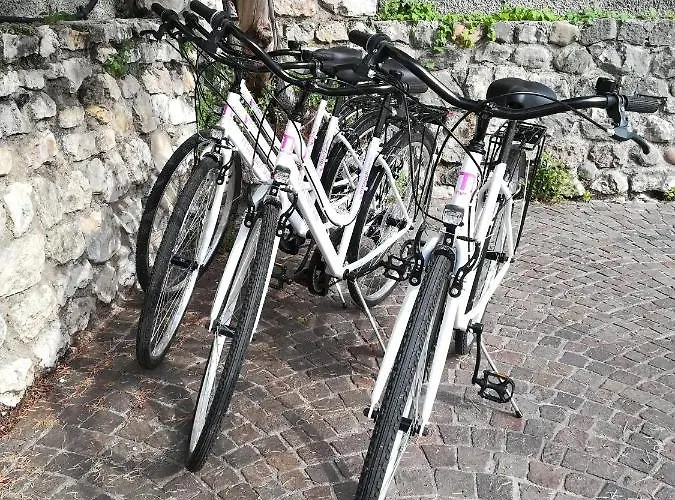 Francy Panorama View