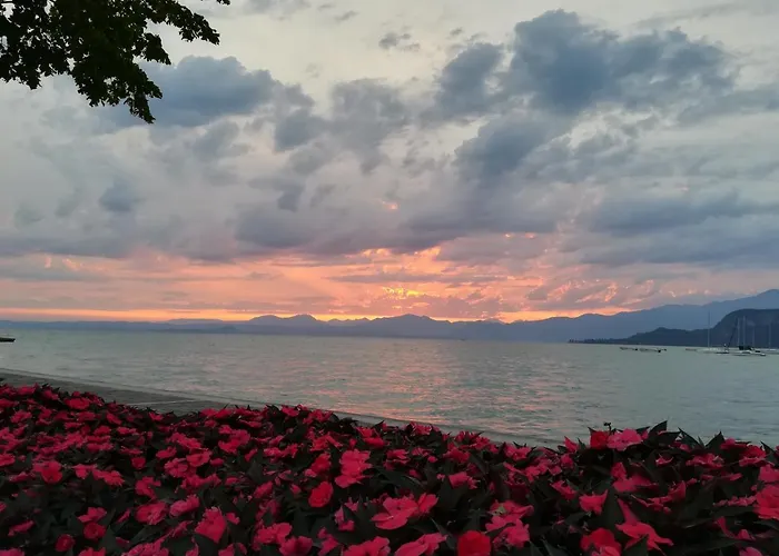 Francy Panorama View