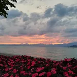 Francy Panorama View