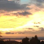 Francy Panorama View *